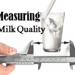 What is Somatic Cell Count