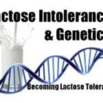 Lactose Intolerance not only Genetic but Cultural
