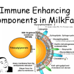 Health Benefits of the Milk Fat Globule Membrane