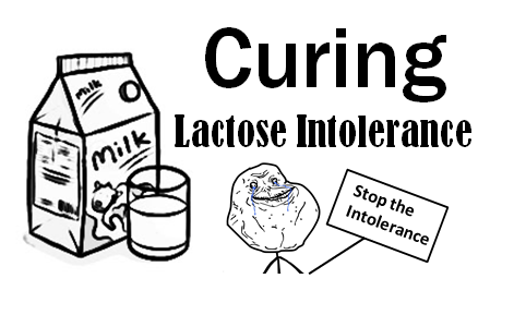 Curing lactose intolerence