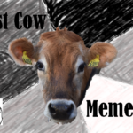 Best Cow Memes