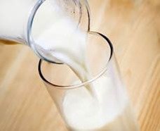 Milk sugar enhances brain function