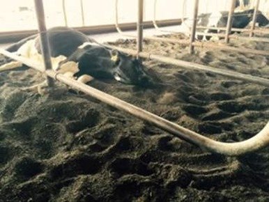 When you literally cant even