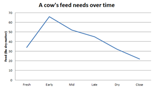 How much cows eat over time