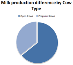 Pregnant cows and hormones