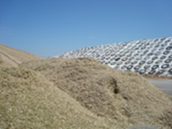Grass pile