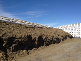 Silage pile