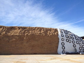 While pile with tires