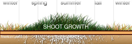 White piles with tires on dairies